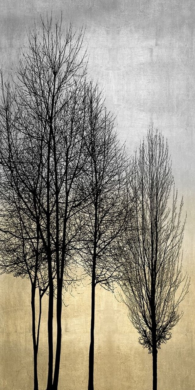 Trees on Silver and Gold I Poster Print by Kate Bennett # KTB115140